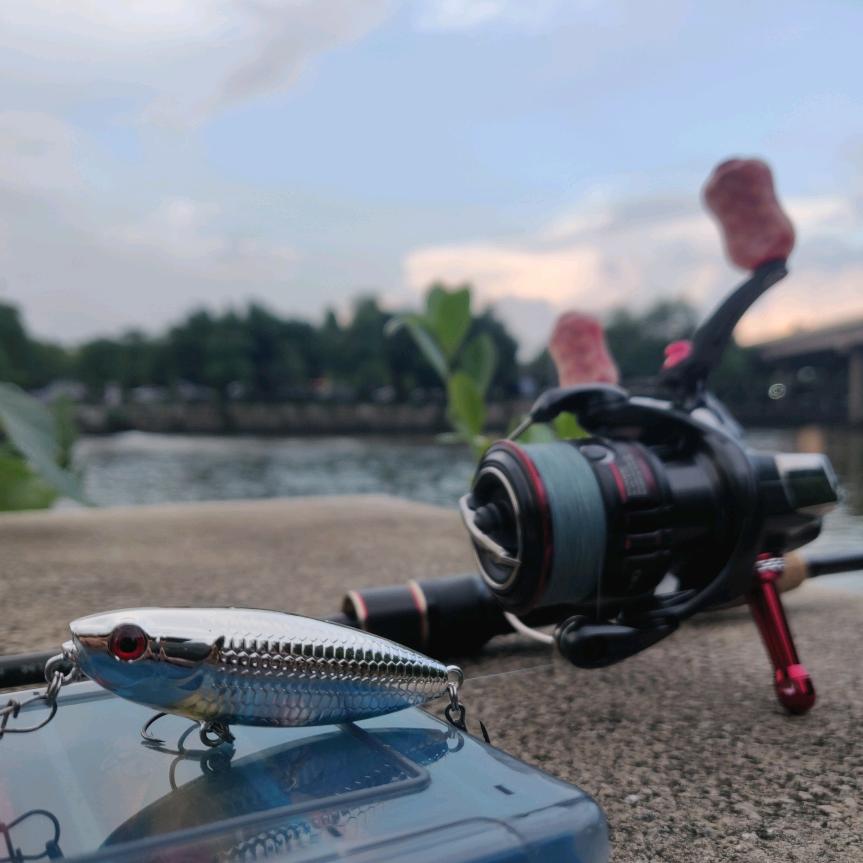 🐡河豚🎣