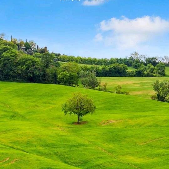 壹佳叙房产咨询