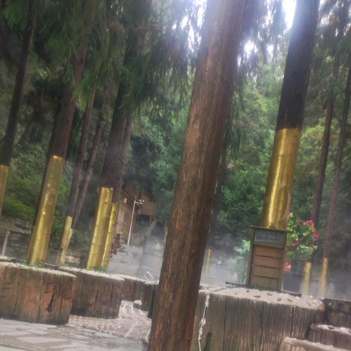 唐