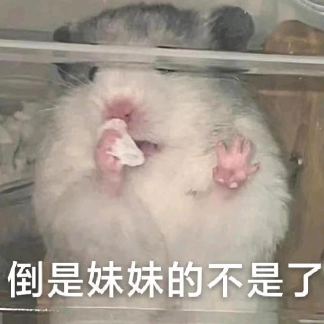 除永恒外无意义