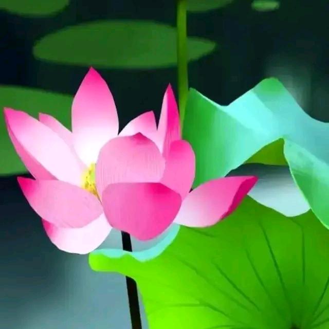 红尘过客