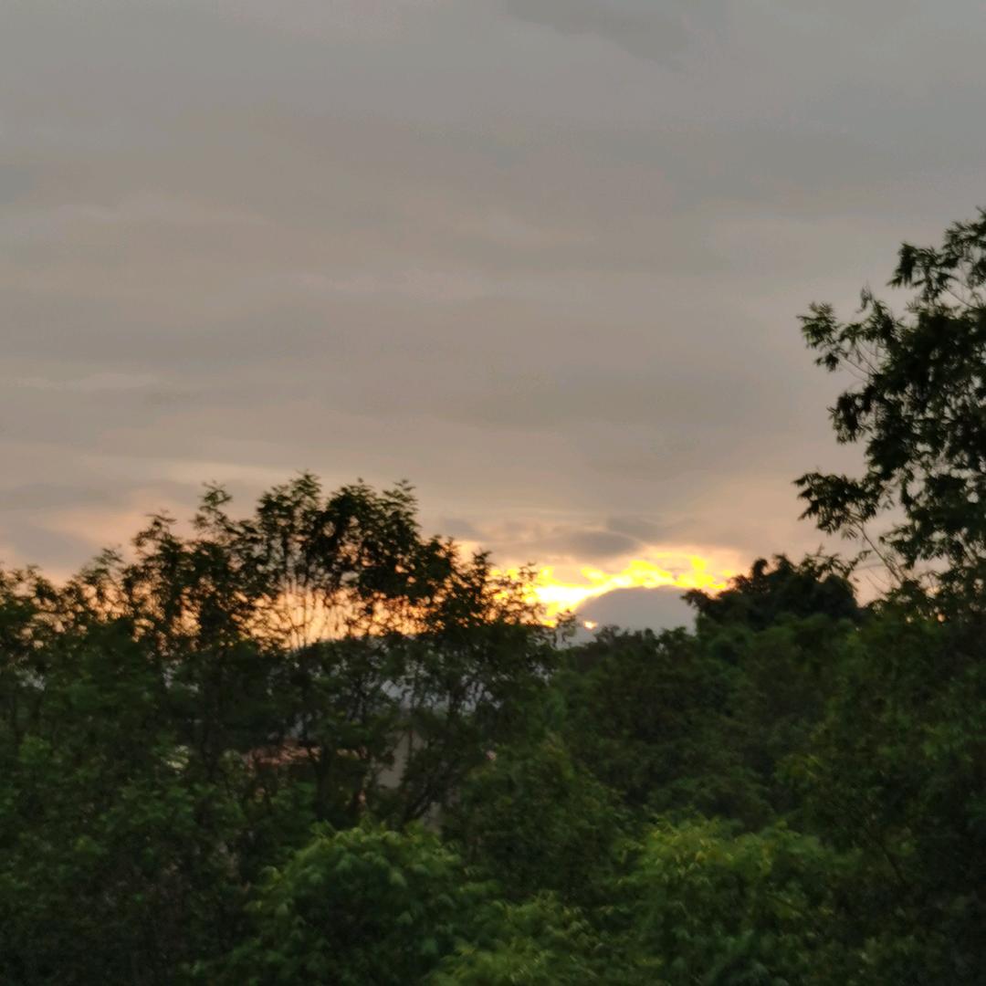 越努力越幸运☀️