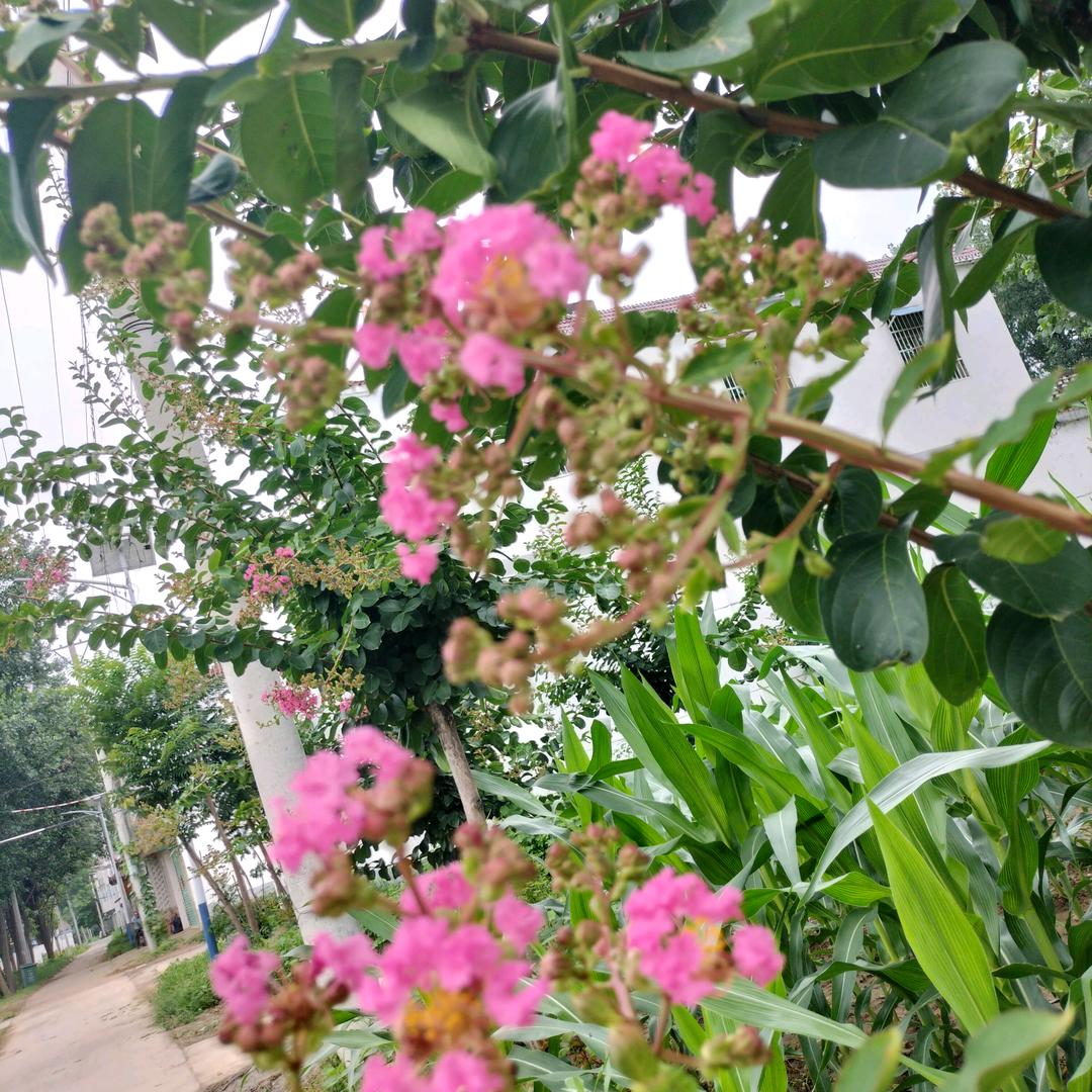 永集老孙