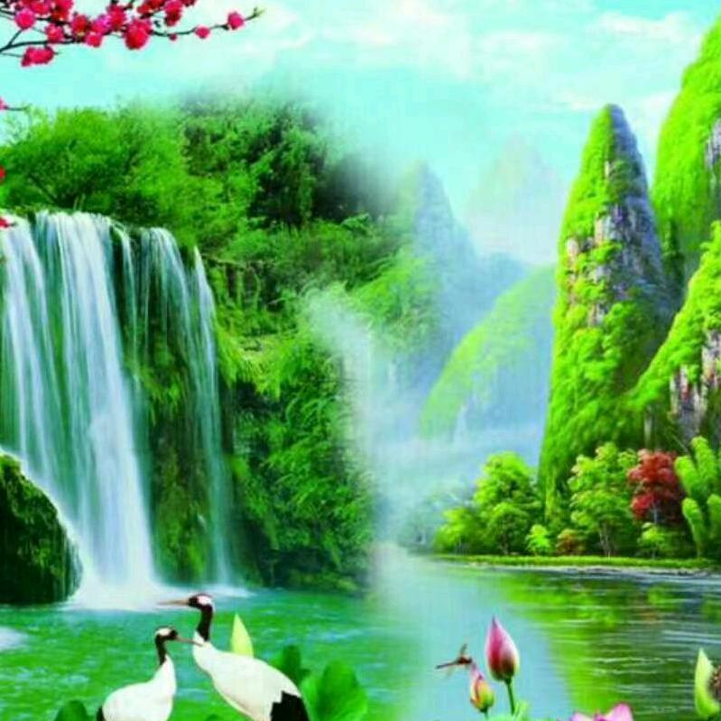 美丽的海霞
