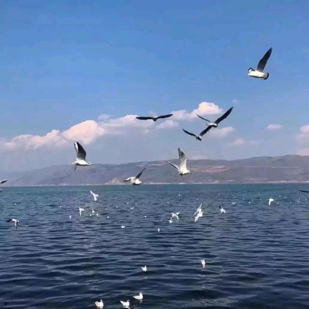@向上而生