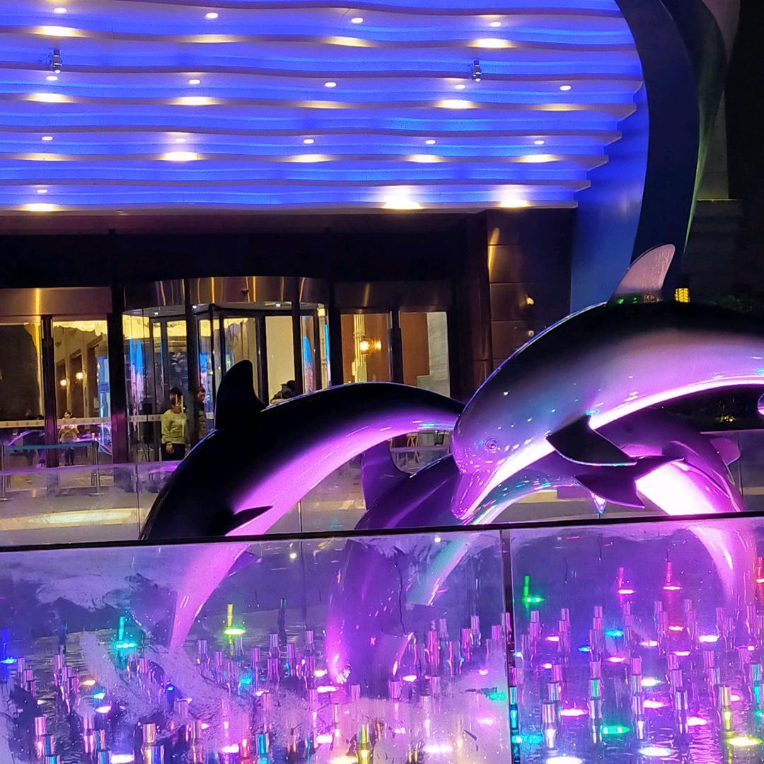 🐱阿豪🍎🌽🥜🐱¹⁰²⁴