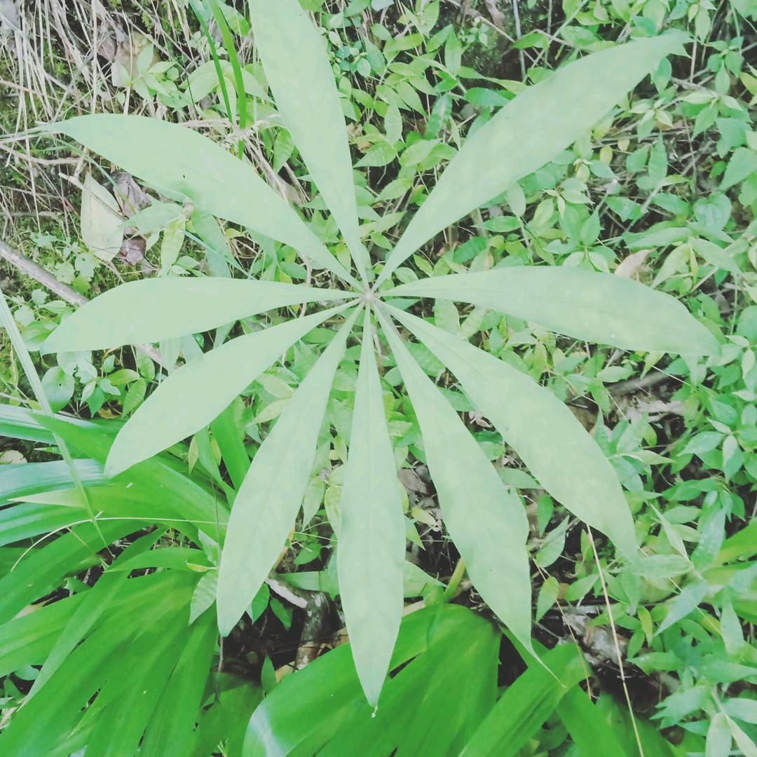人身难得几回醉