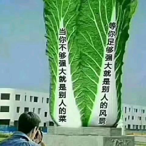 仁和镇彩钢瓦厂
