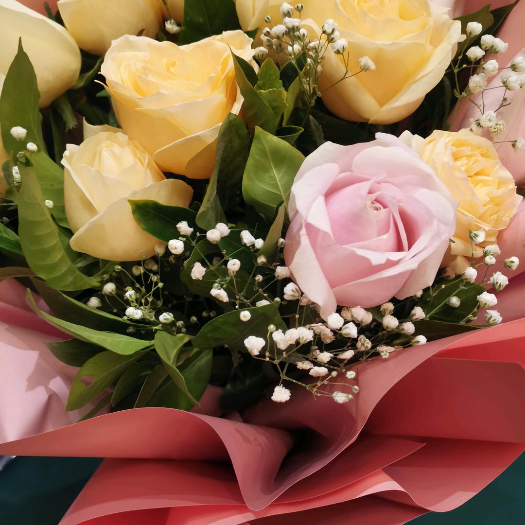 এ᭄🐭茗🐮琴᭄ོꦿ🎶 ృ