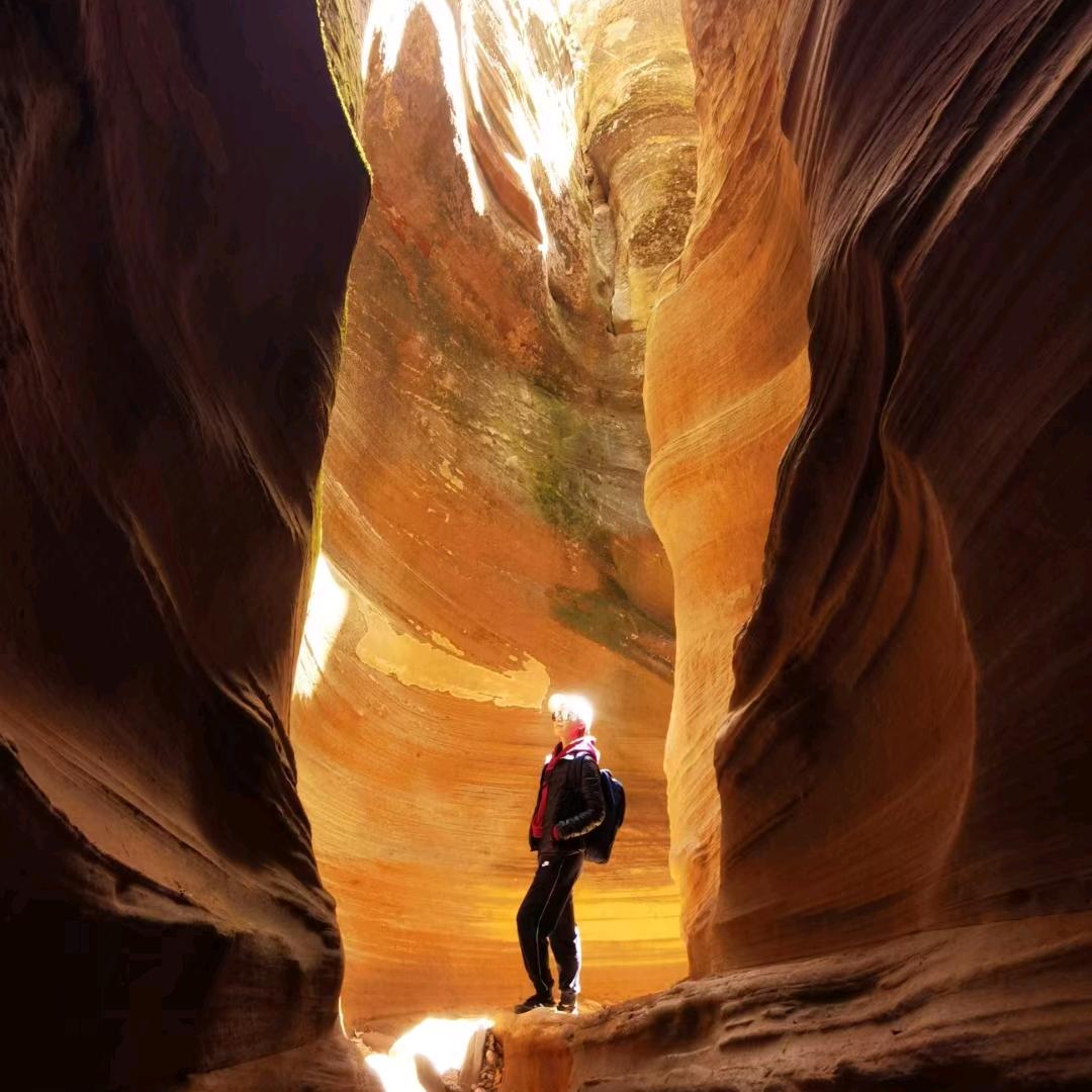 $$$🎫💰钱多多