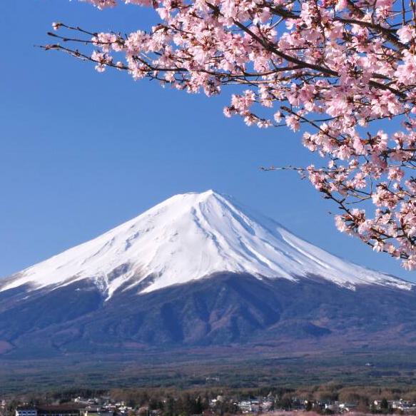 成都巧一思出国劳务