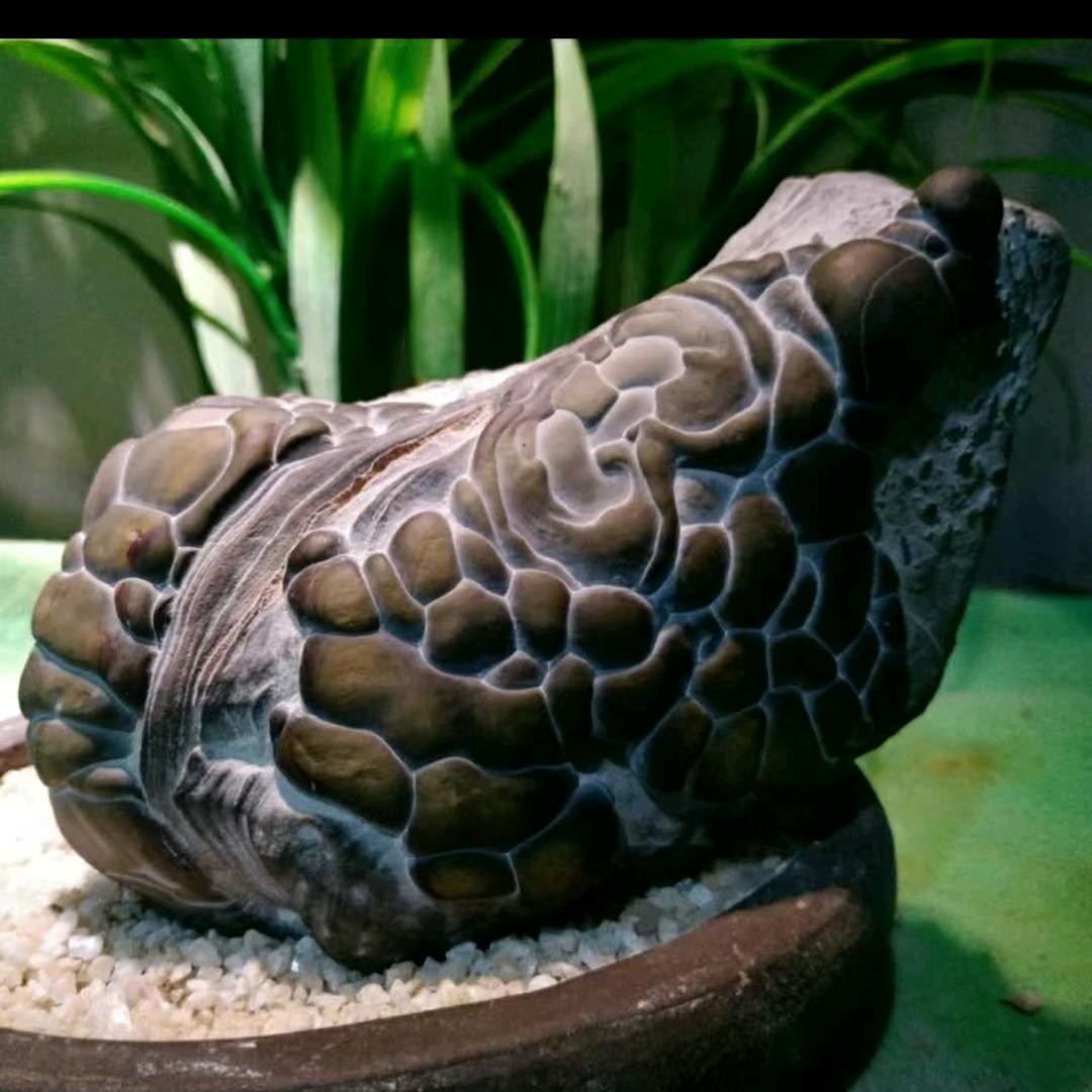 嘉嘉灵璧石