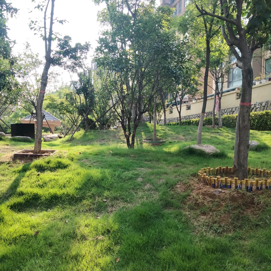 怎么开心怎么过😊