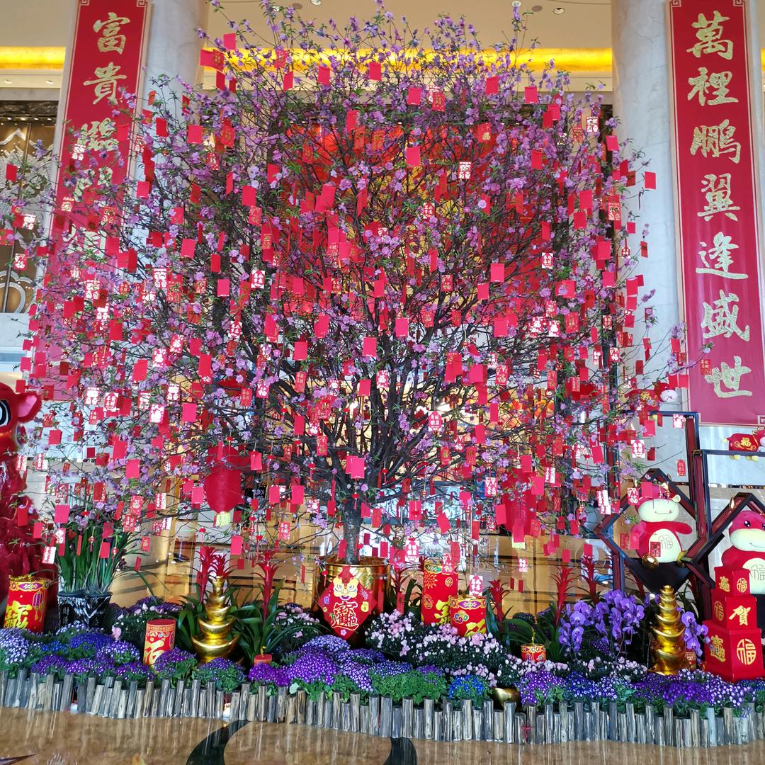 叻叻猫O(∩_∩)O 