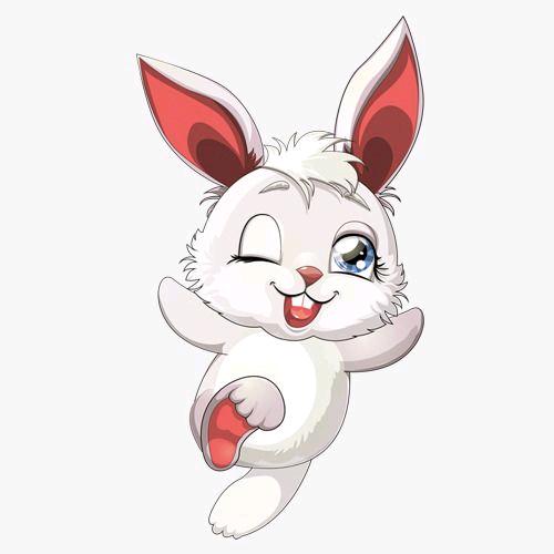 🐰兔子🐰