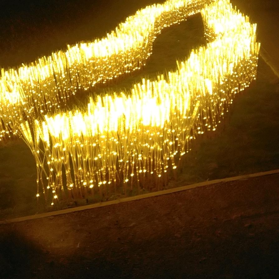 金土地
