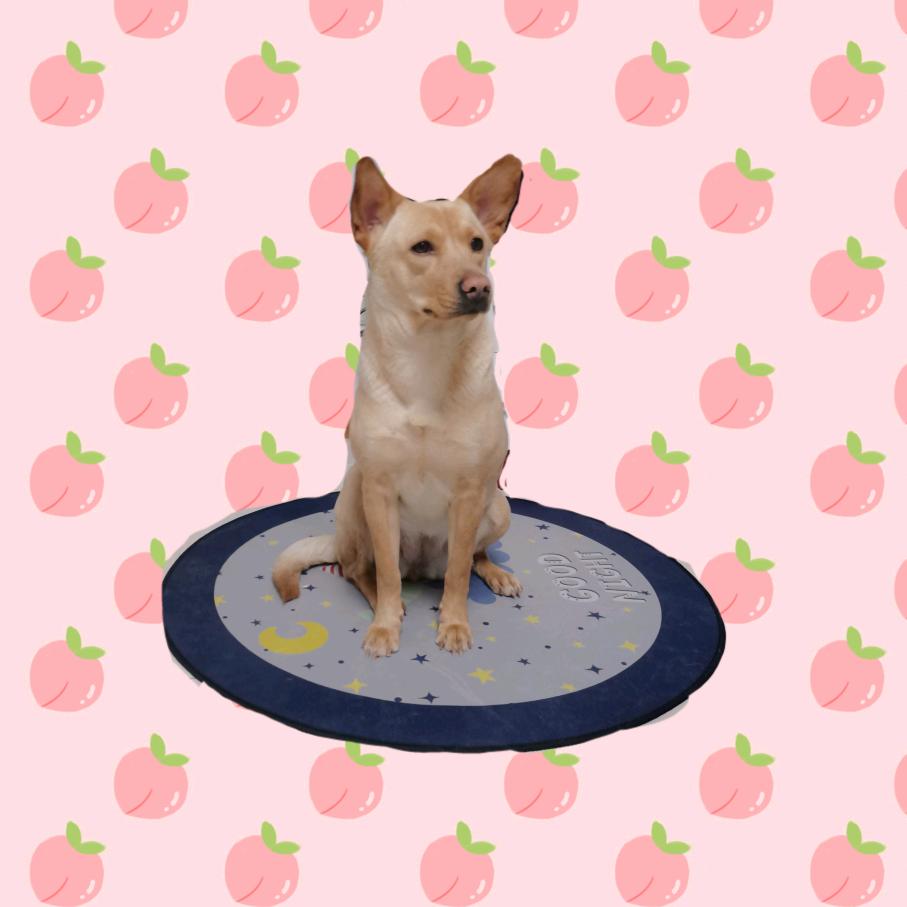 霸波奔波奔波霸