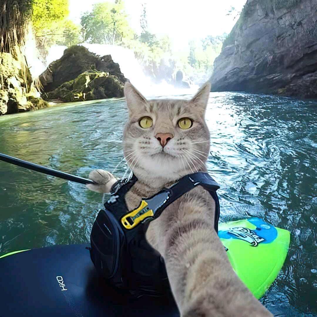 🌝