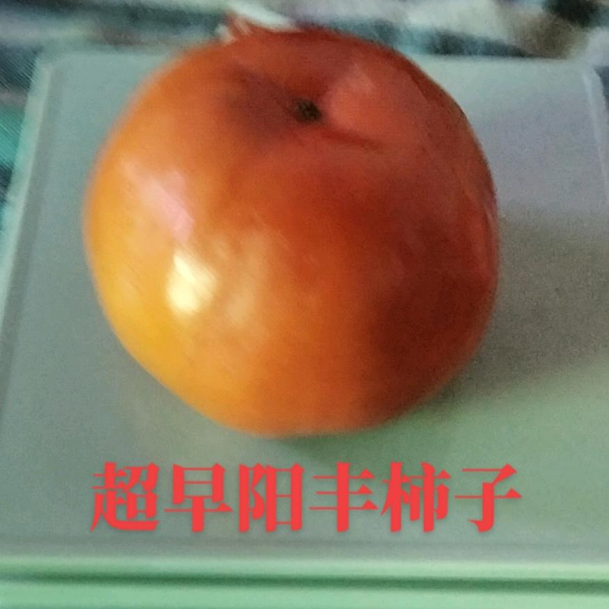 男神苗木水果代收