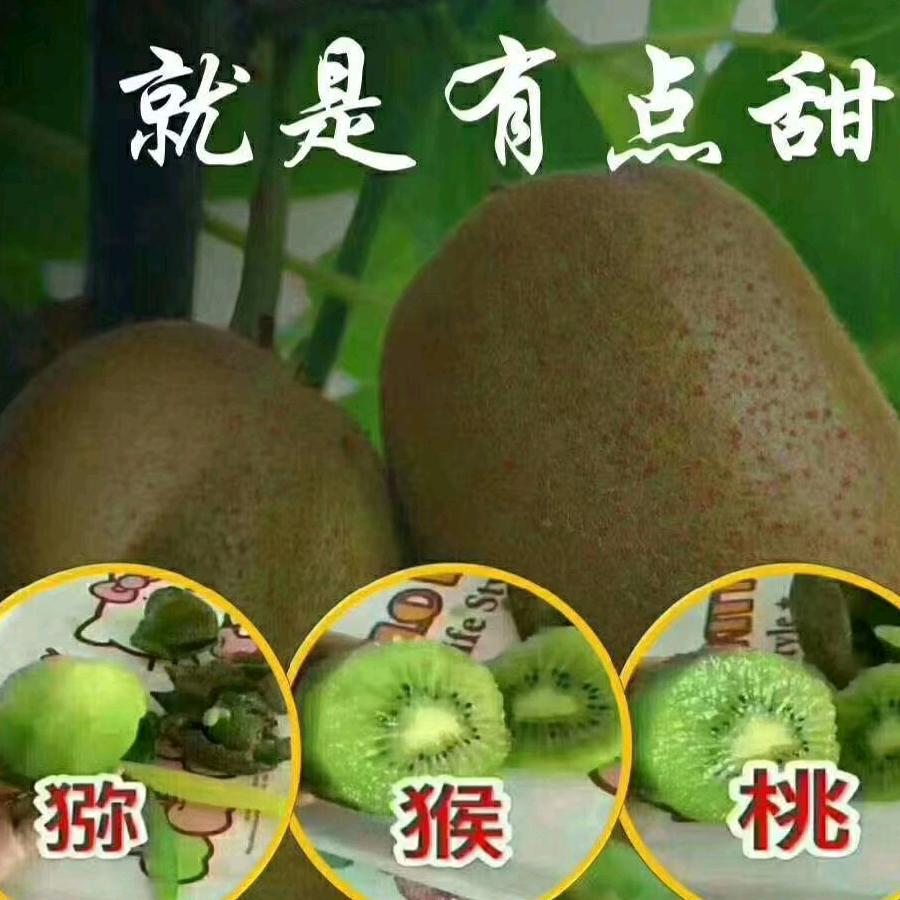 幸福快乐，万事如意，心想事成