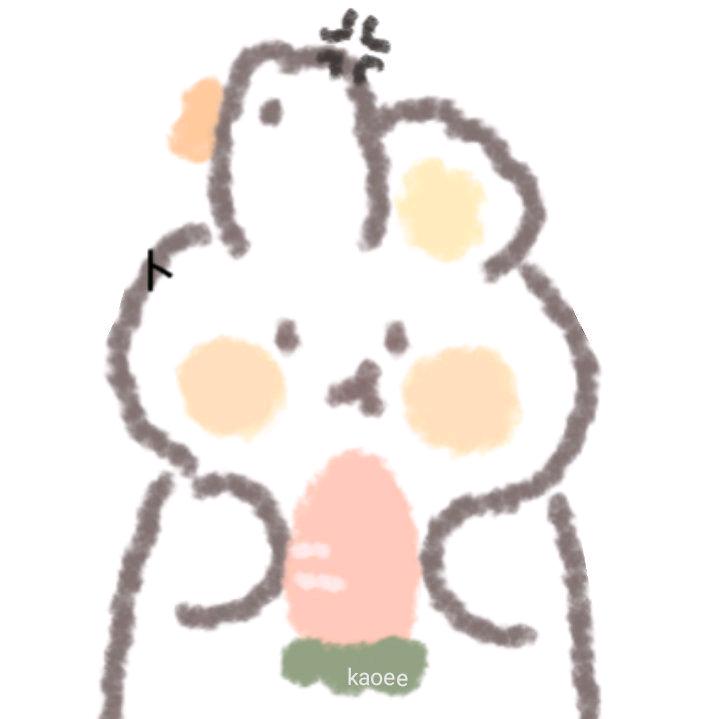 Dsz