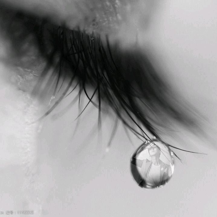 一生所爱///