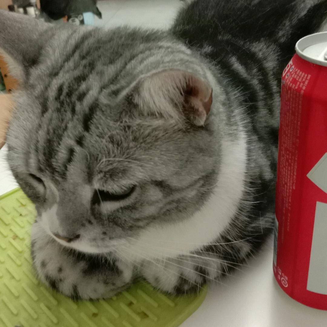 阅川