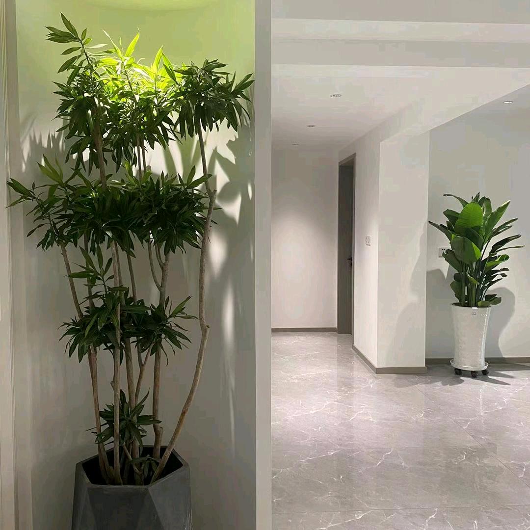 韩城市浩天花卉苗木中心