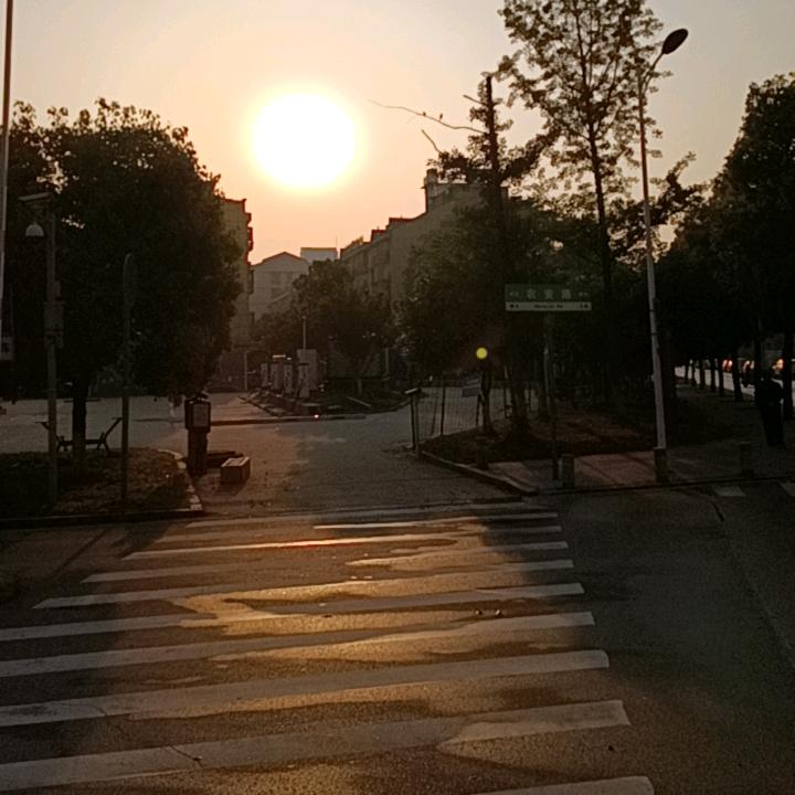 心向阳光🍏🍏🍏