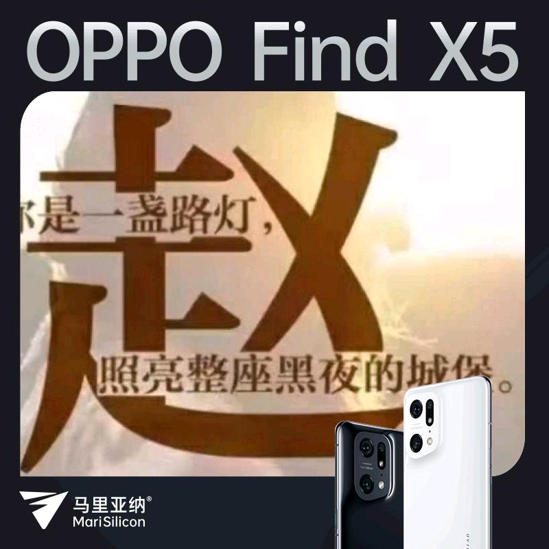 赵迪