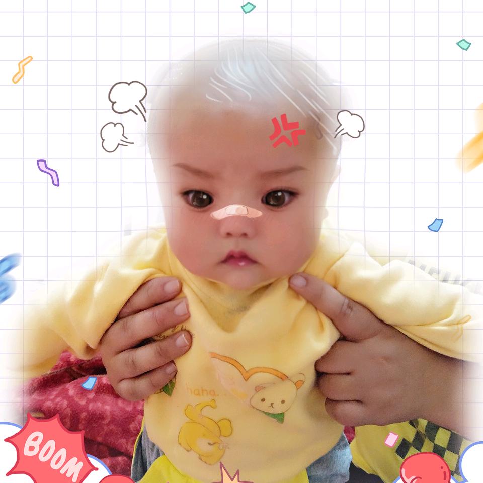 抓鱼人🐠🐟🐙🐬🐳