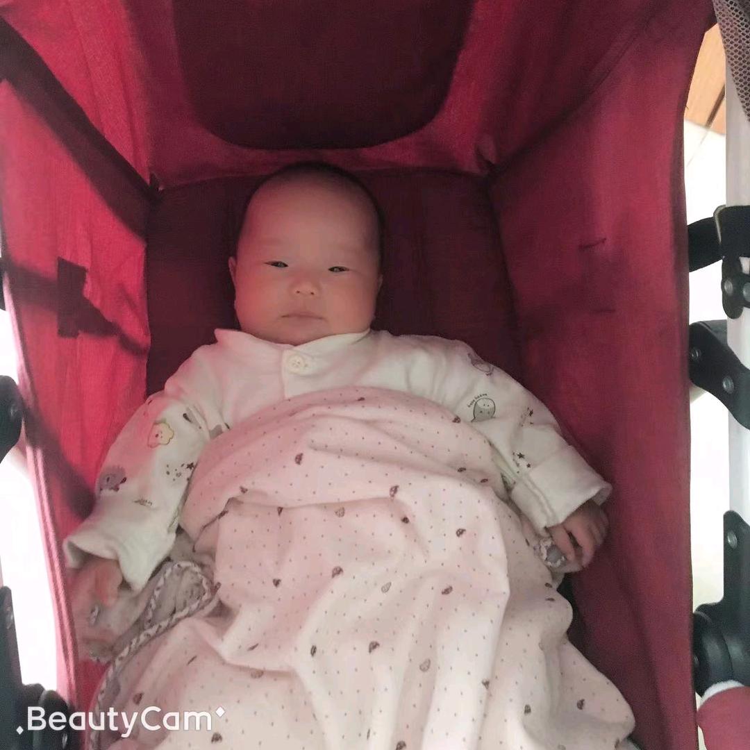 纯玲