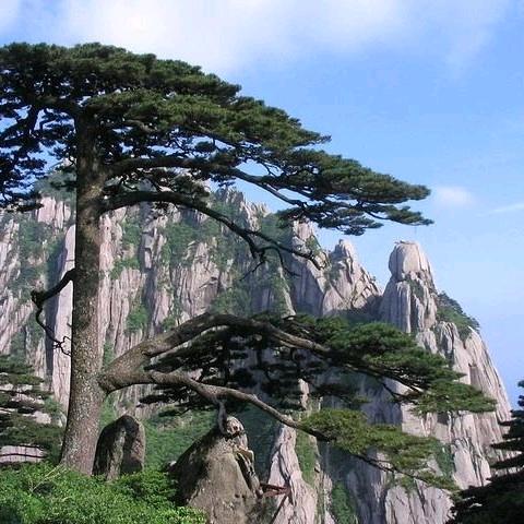 ☞北极以北☜