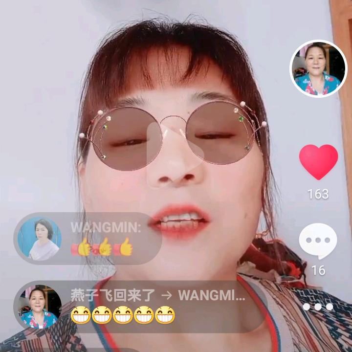 燕子飞回来了