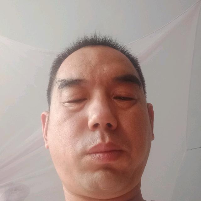 飞翔鸟