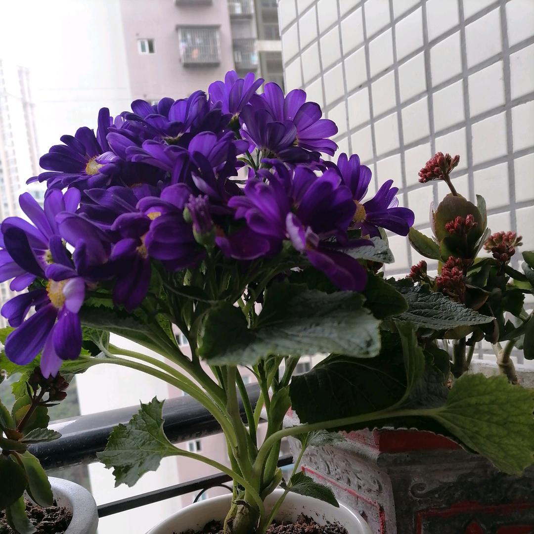 一忛风顺