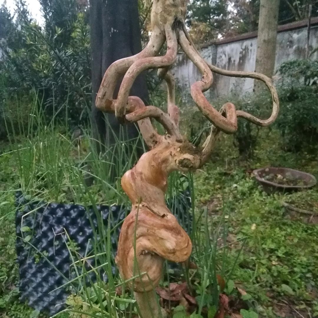 用户2026774125021