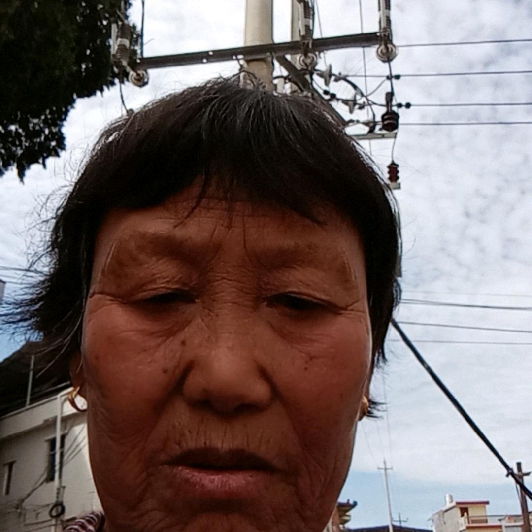 健康树