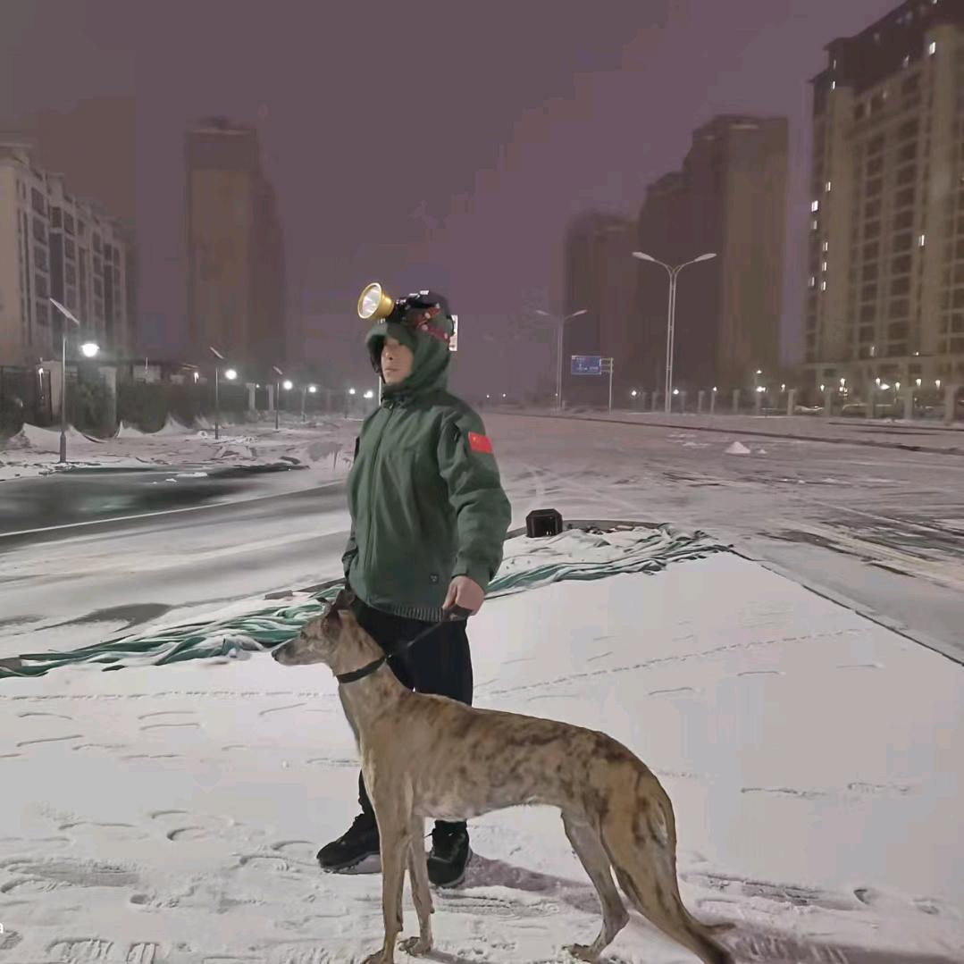 速度与激情格马串繁殖者