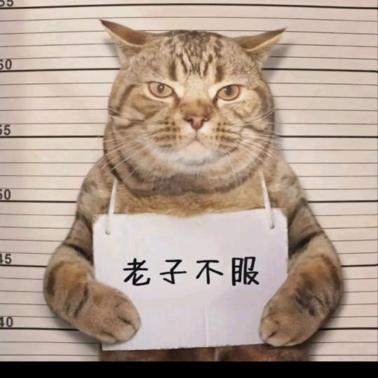 人生如歌