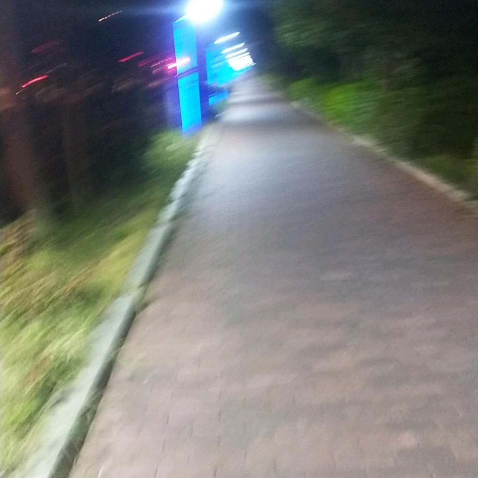 自由哥