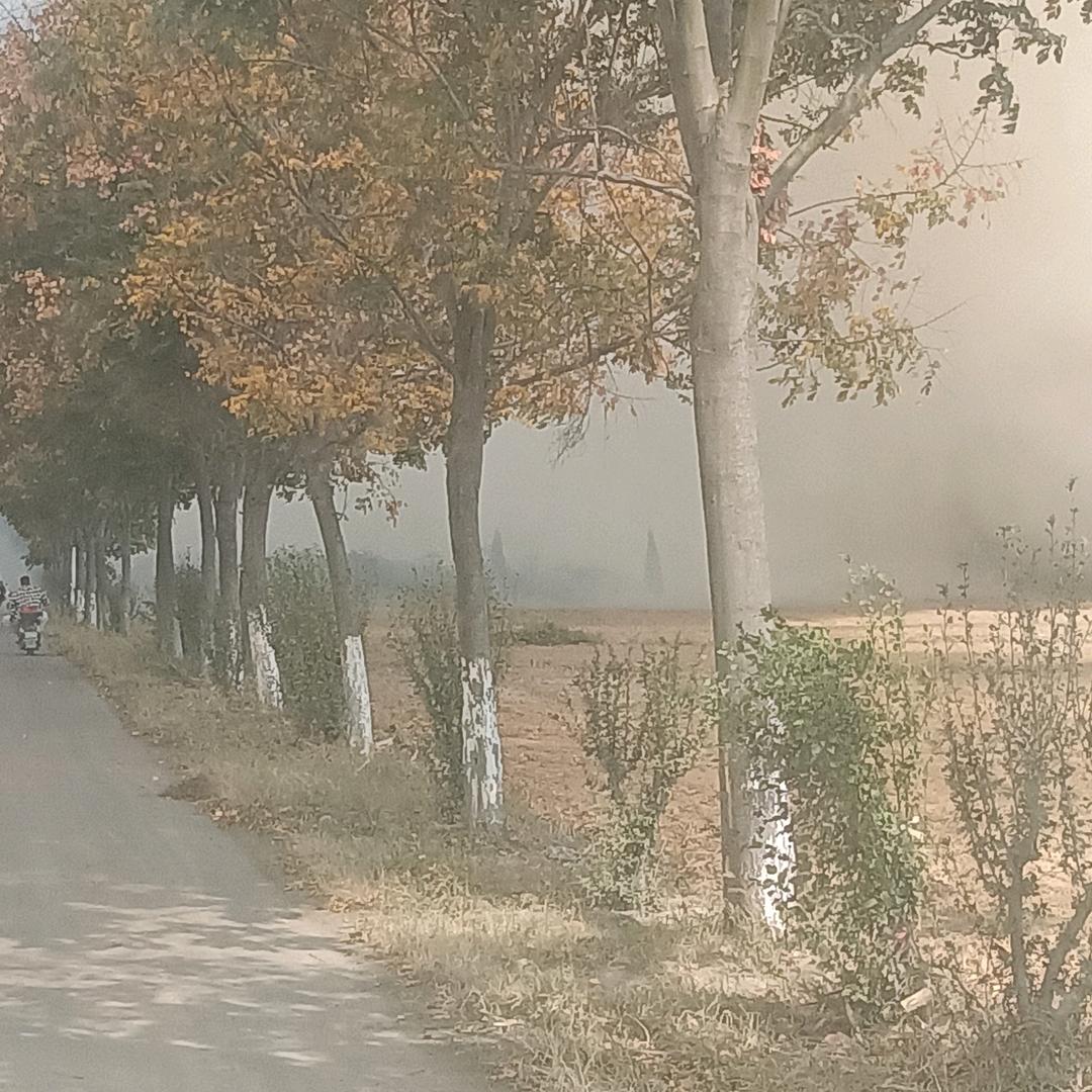 任我行阿虎