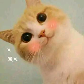 @CY头像