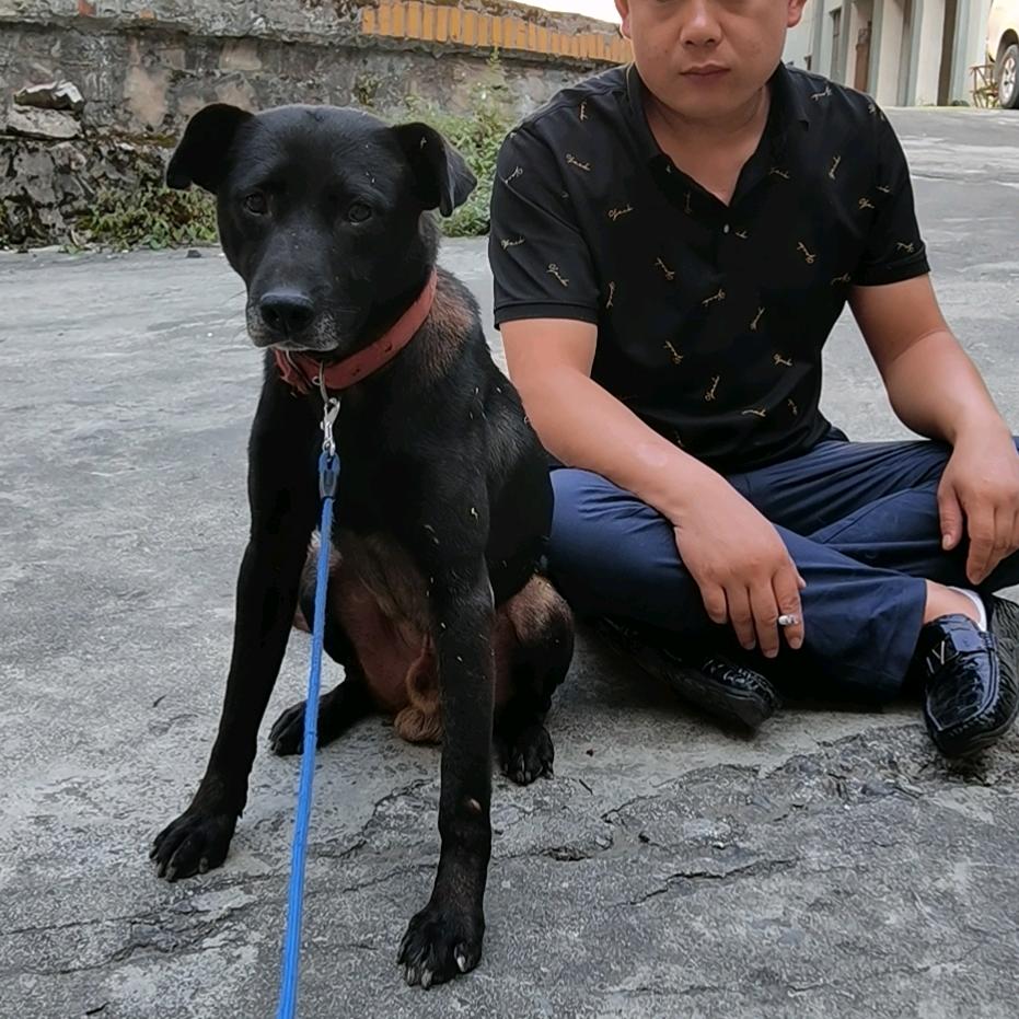 千里通物流支撑梁运输