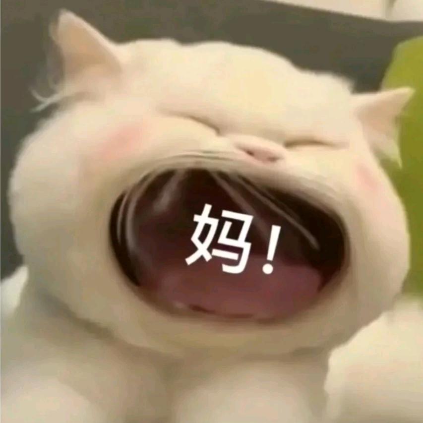 白了又白