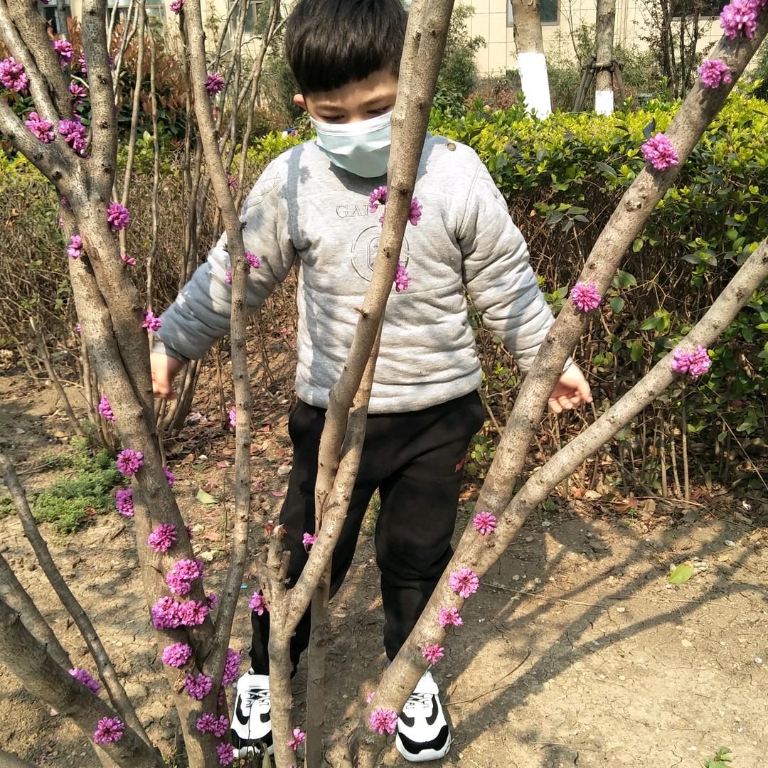 璎瑶