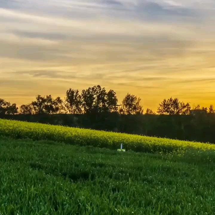悟性✨