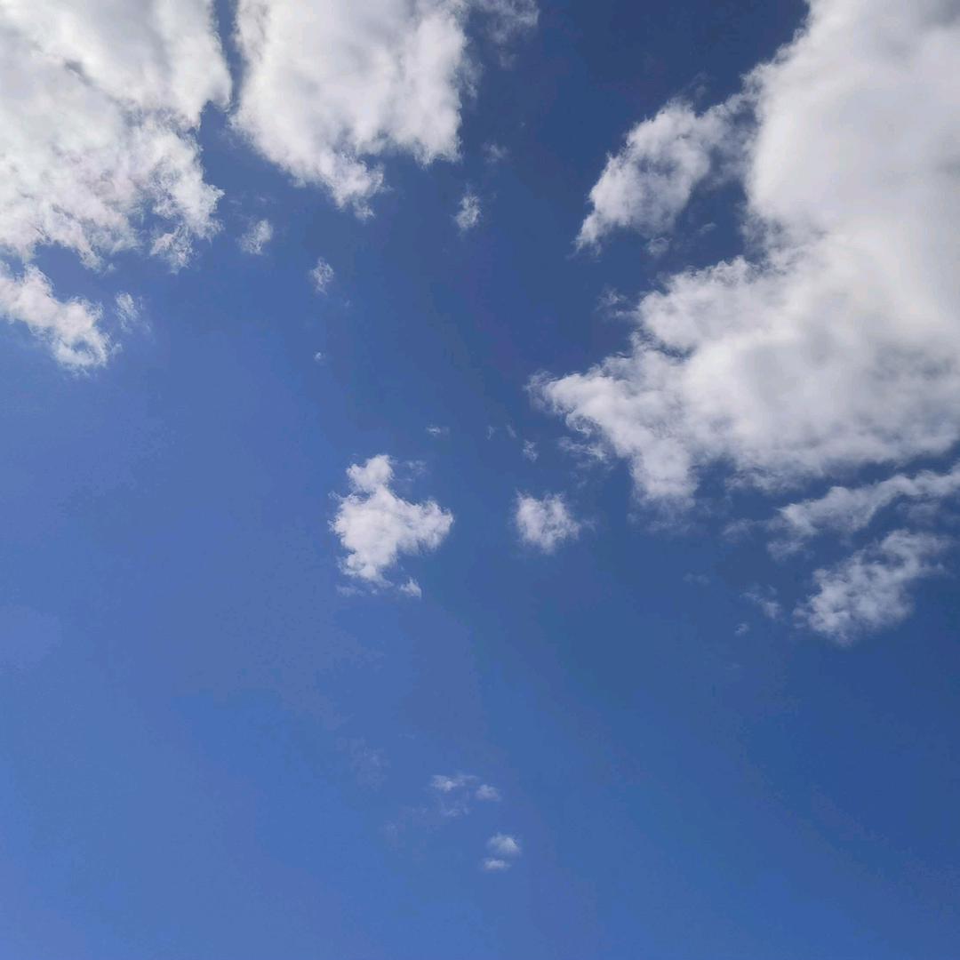 介绍一下？