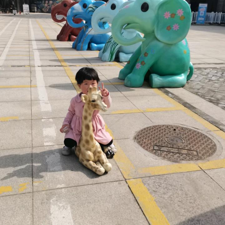 远去的风