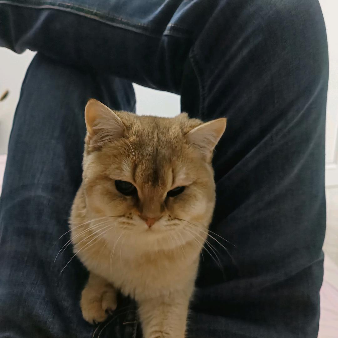 北方创作写生基地